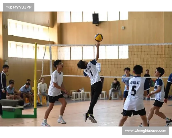 新疆体育局与WKG联合打造青少年综合格斗培训基地推动体育人才培养 新疆体育局与WKG联合打造青少年综合格斗培训基地推动体育人才培养